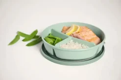 Bento Bowl Cirqula