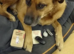 Welcome To The Family Dog Kit